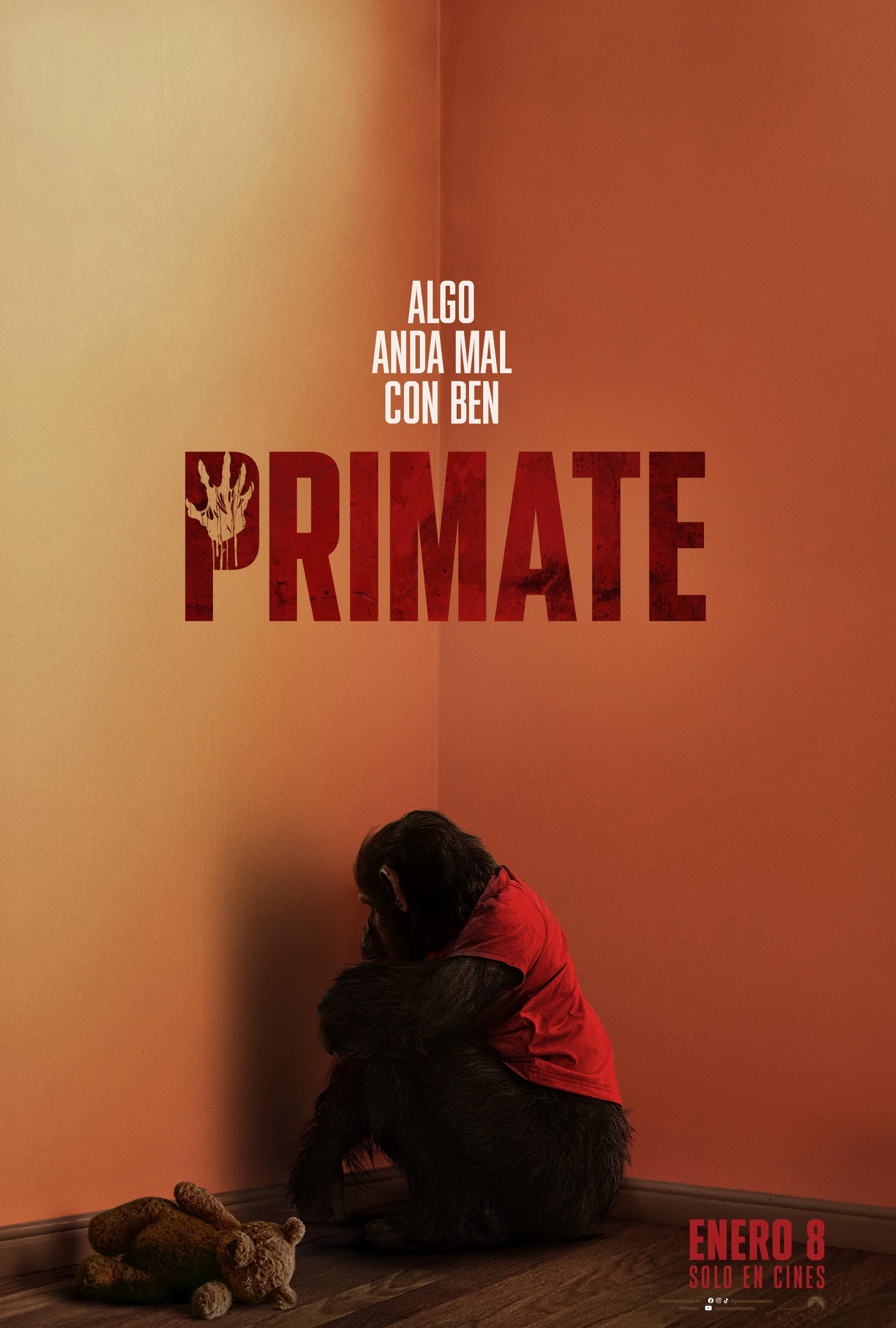 Primate